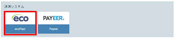 1xbet Payz出金選択